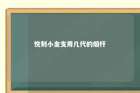 悦刻小金支用几代的烟杆